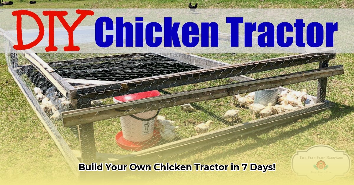 chicken-tractor-dimensions